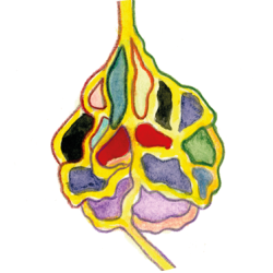 Menopauseogmagi_ikoner_ritualer-2023_02