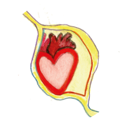 Menopauseogmagi_ikoner_ritualer-2023_03