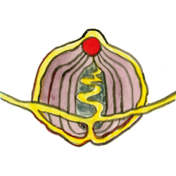 Menopauseogmagi_ikoner_ritualer-2023_04