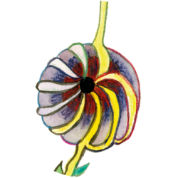 Menopauseogmagi_ikoner_ritualer-2023_06